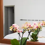 卡萨马雷斯卡公寓 招待所